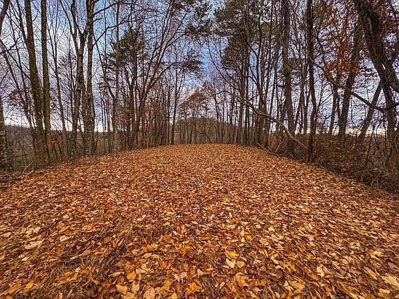 38th image of this home