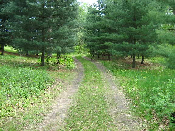 Entrance to property