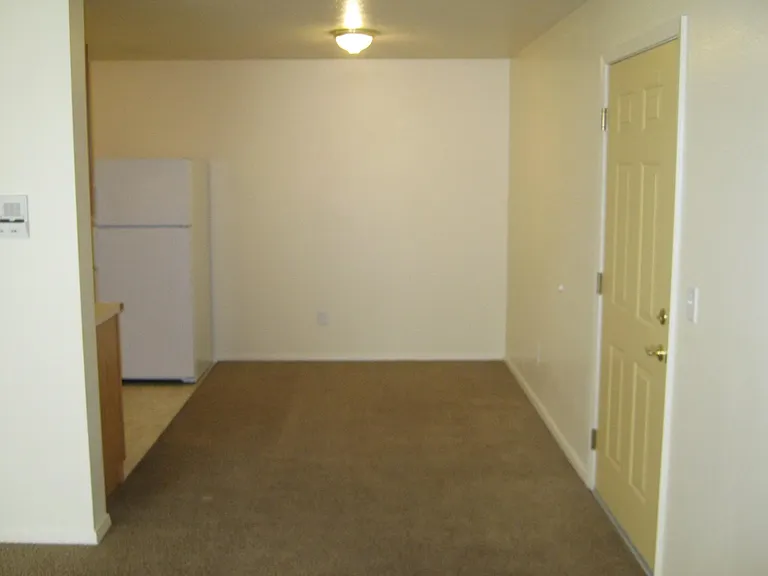 APARTMENT ENTRY AND DINING AREA