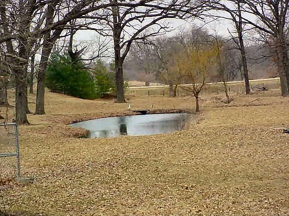 pond & creek