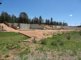 1322 Longs Point, Woodland Park, CO 80863