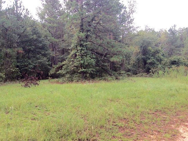 2nd image of 510 Hardy Dr