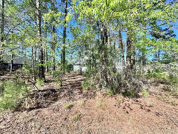 5th image of 31 Full Sweep W