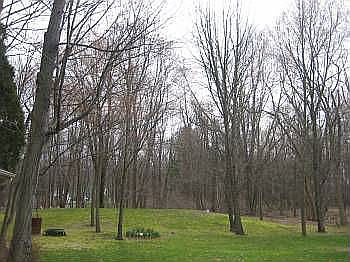 4th image of 4659 Aspen Dr