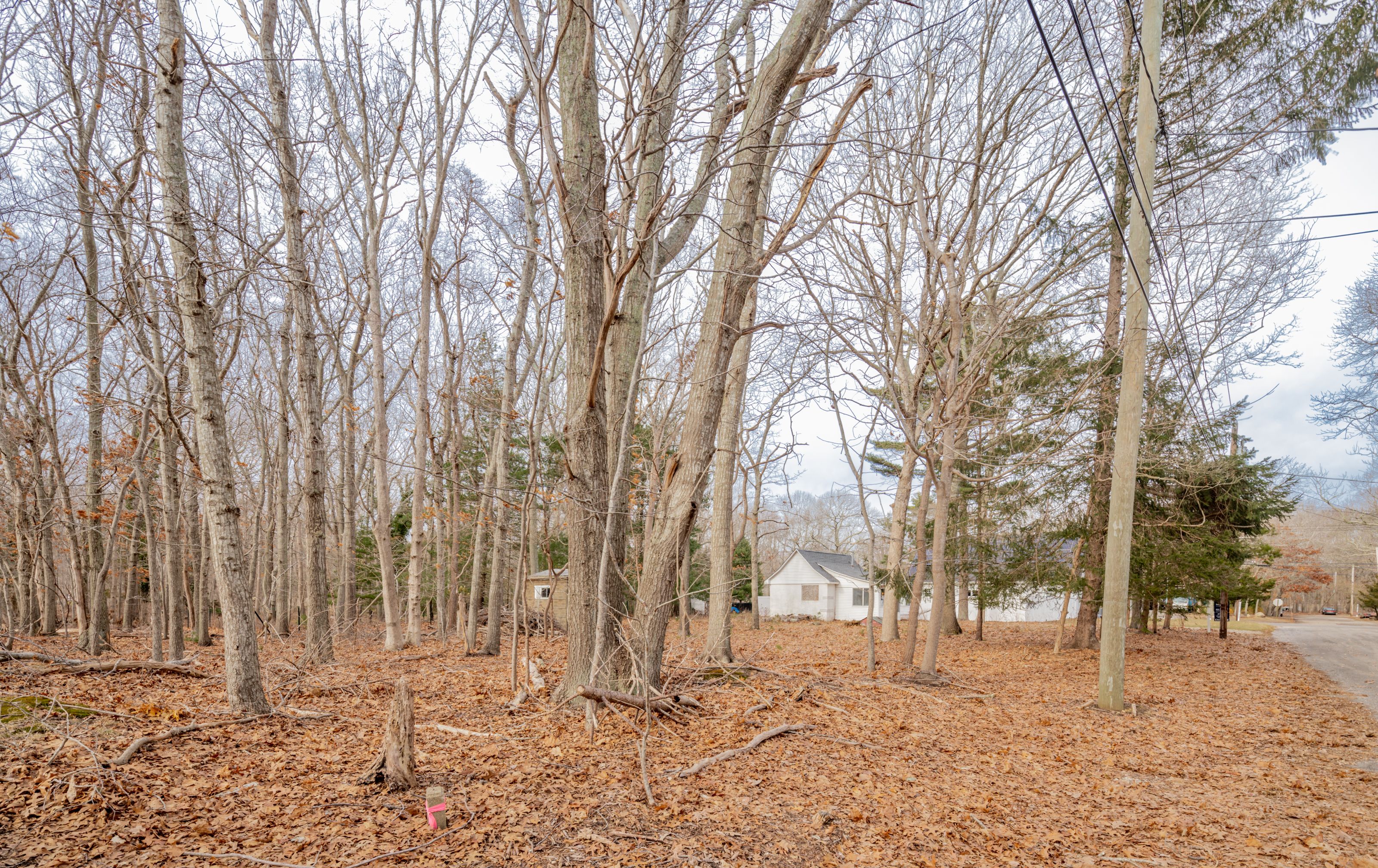 10 Crandall St, East Hampton, NY 11937 Out East