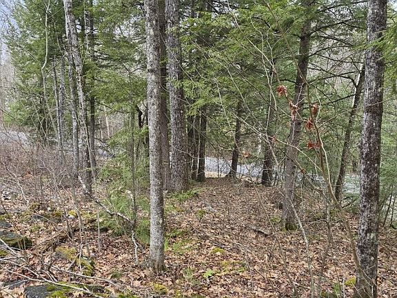 4th image of Pond Rd