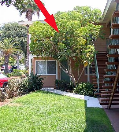 Located behind trees