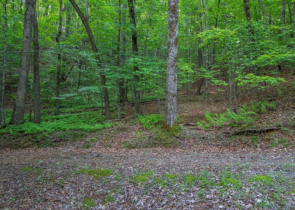 1st image of 0 Laurel Mountain Dr Lot 10