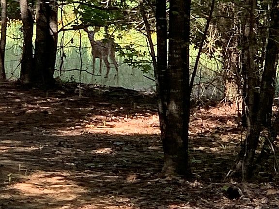 5th image of 5457 County Road 222