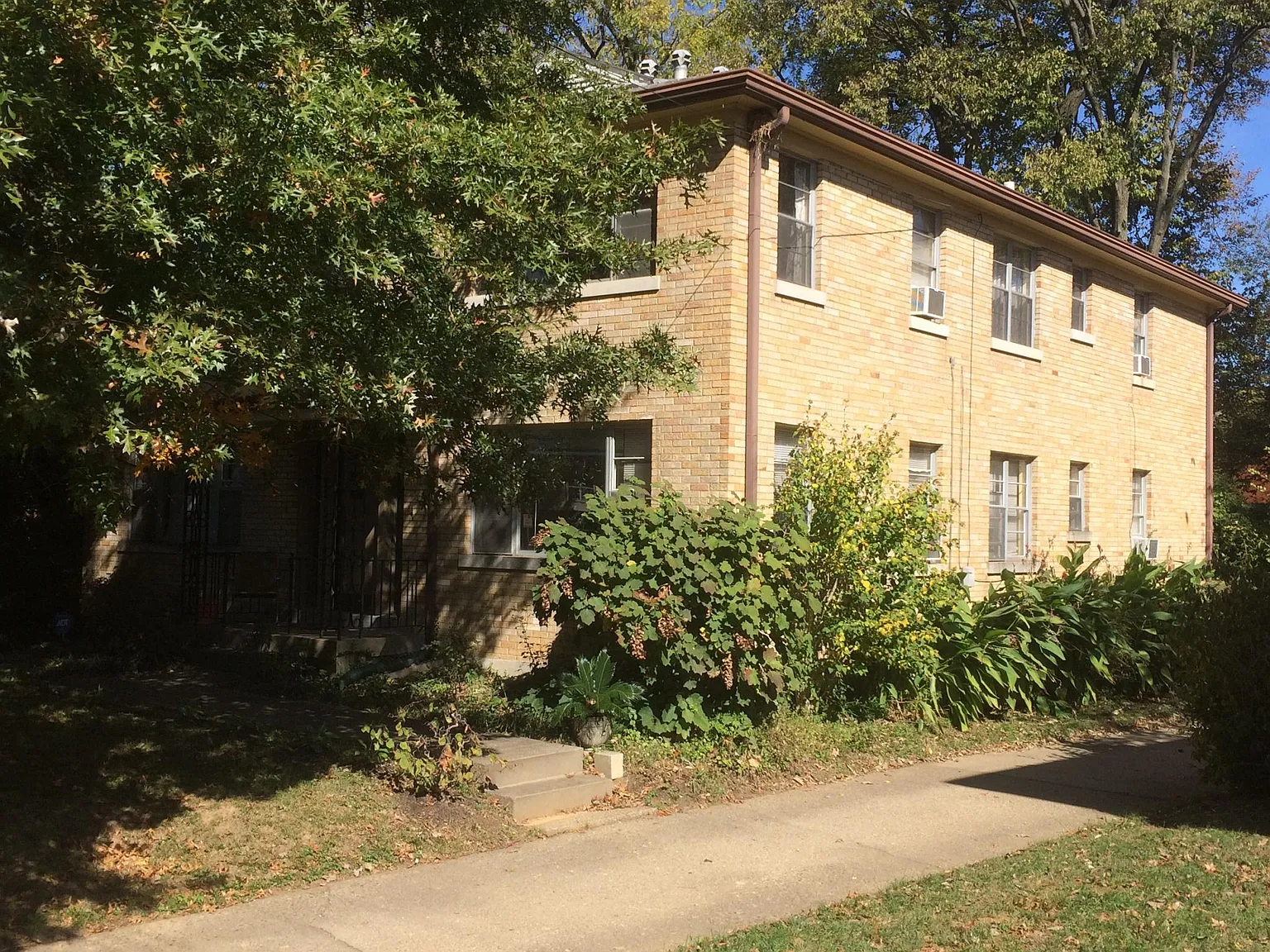 1 bed, 800 sqft, $995 — Photo 2