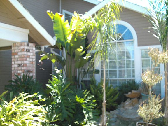 Front yard *there is a pond with water fall visible from front porch
