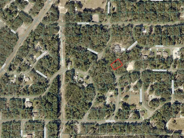 Guava Pass Ter #8, Ocklawaha, FL 32179