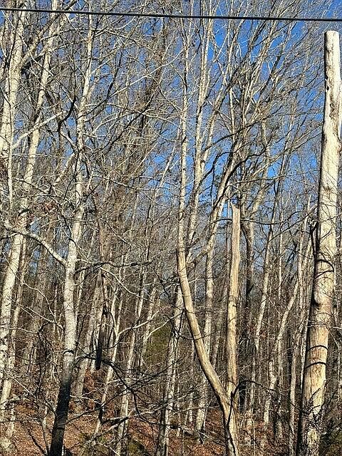 2nd image of LOT 2 Lower River Rd NW