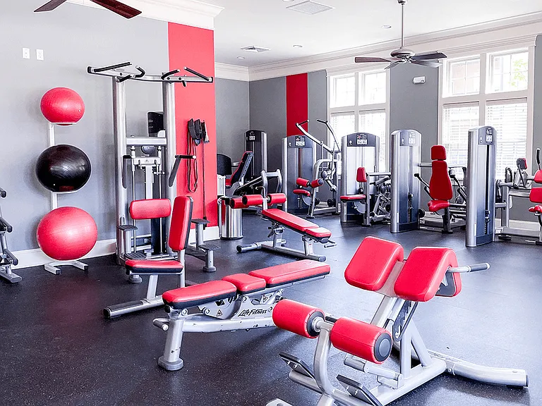 Professional Fitness Center