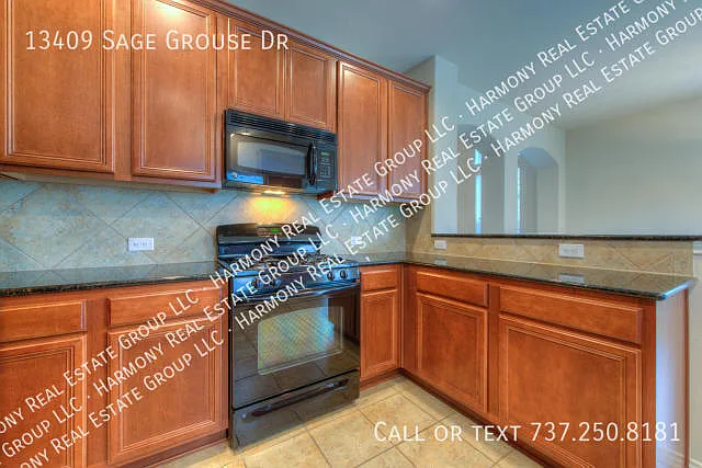 13409 Sage Grouse Dr — Photo 8