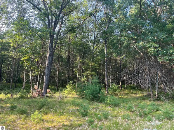 0 Mackenzie Rd, Oscoda, MI 48750