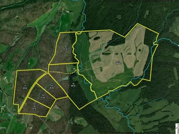0 Guggenheim Rd, Marion, KY 42064