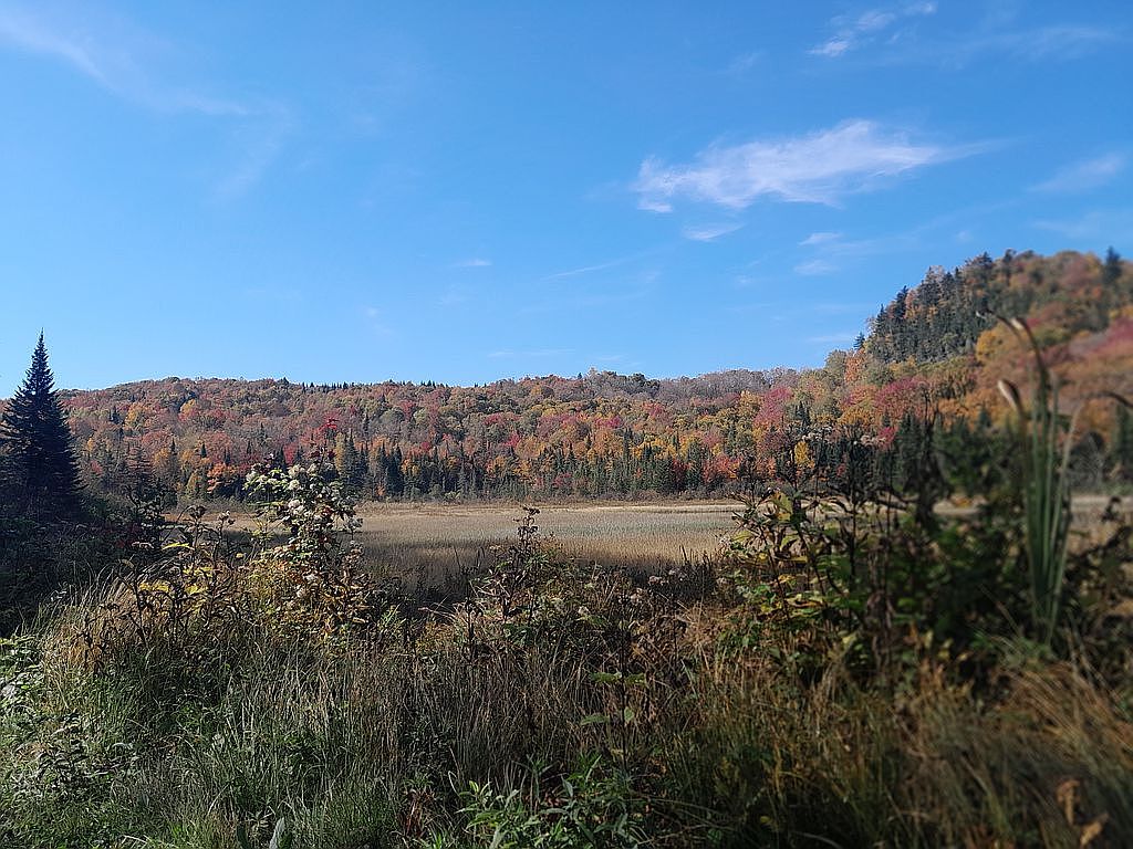 3208 Old Duck Pond Rd, Sheffield, VT 05866 Zillow