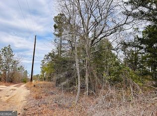 80 Wood St, Butler, GA 31006