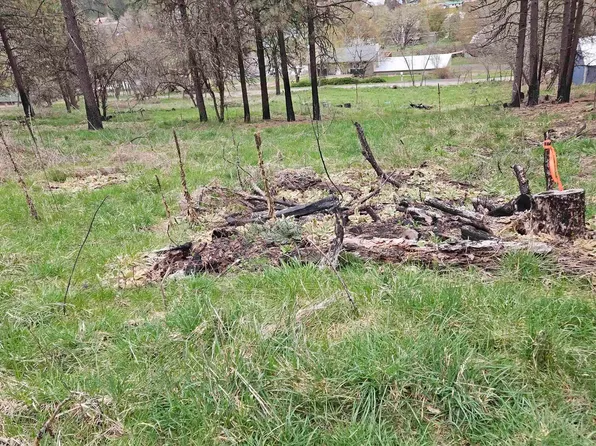 May St Lot 10, Peck, ID 83545