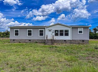 176 Old Flowers Rd, Johnsonville, SC 29555