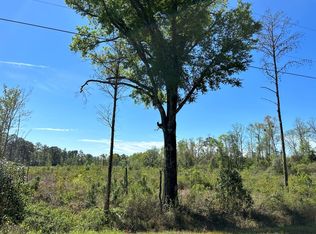 18 State Line Rd, Cottonwood, AL 36320