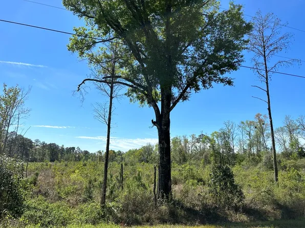 18 State Line Rd, Cottonwood, AL 36320