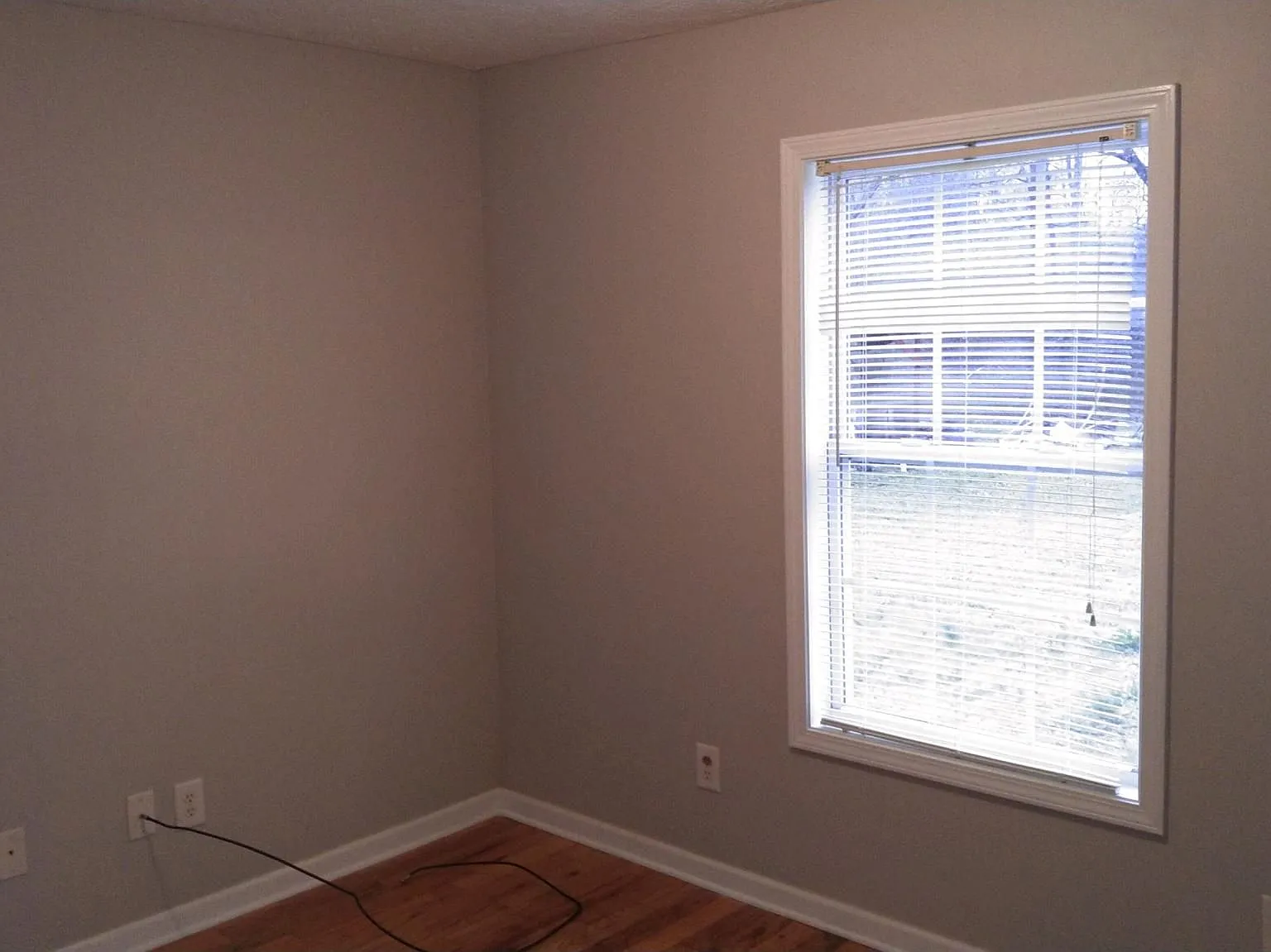 2 bed, 1.0 bath, $1,450 — Photo 4