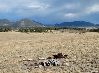 1194 Yellowstone Rd #118, Hartsel, CO 80449