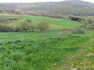 0 Roses Brook Rd, South Kortright, NY 13842