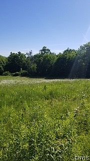 3rd image of Talbot Rd