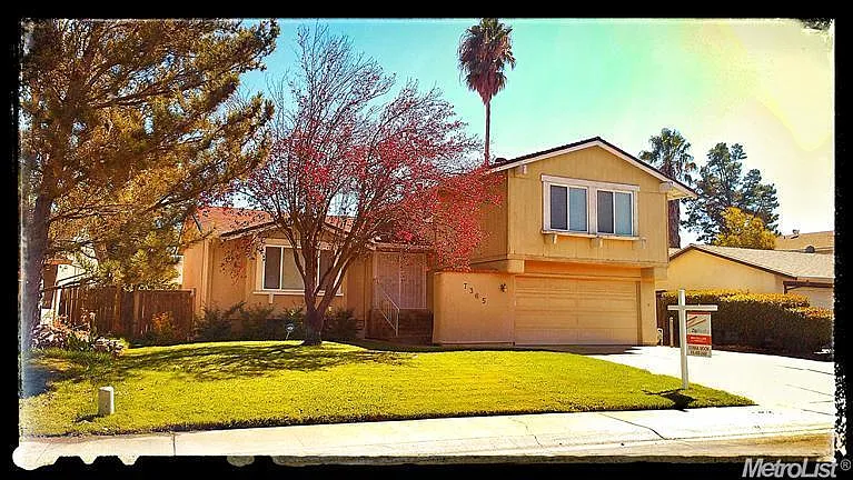 7365 Winnett Way photo 1