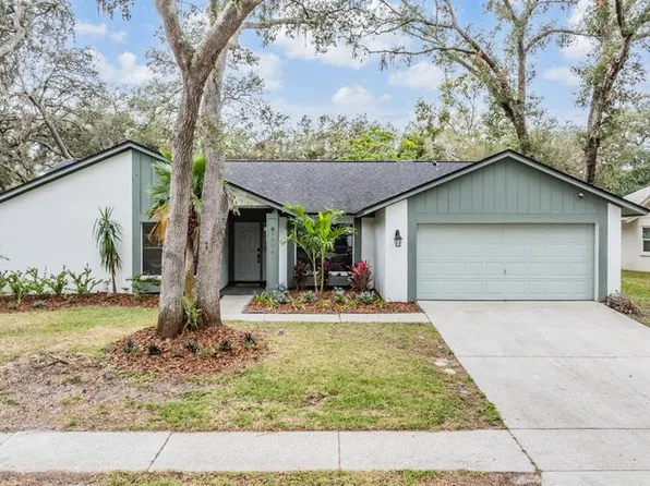 2804 Ormandy Ct, Tampa, FL 33618
