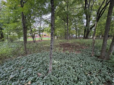 16401 Hidden Valley Rd, Minnetonka, MN, 55345