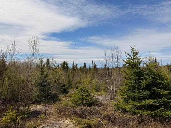 76 Morancy Road, Sullivan, ME 04664