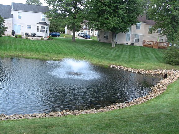from the deck