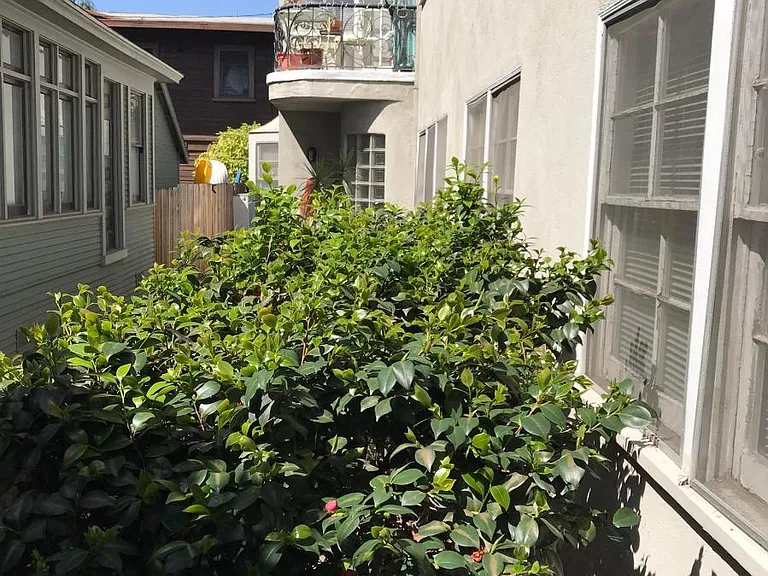 1213 E Ocean Blvd #5 — Photo 7