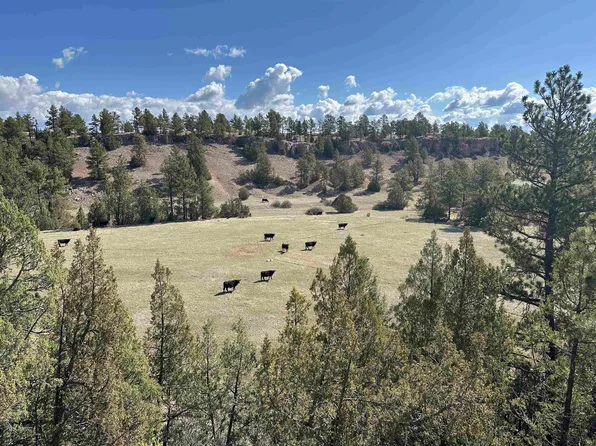 26094 Dewey Rd, Edgemont, SD 57735