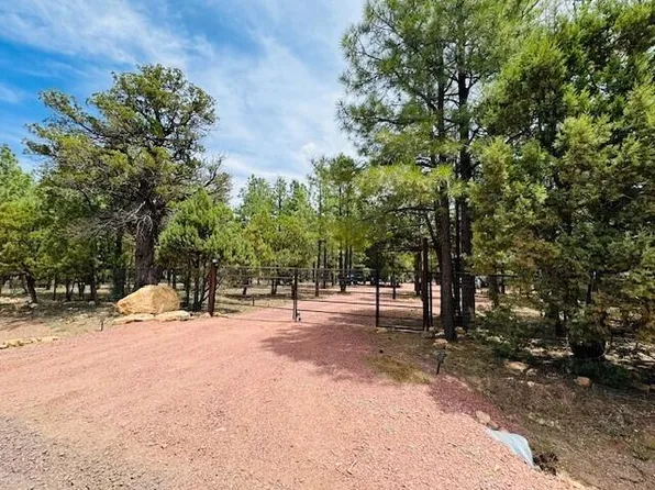 1737 Green Ridge Dr, Happy Jack, AZ 86024