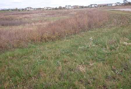 2nd image of Lot 9 Anathoth Lane