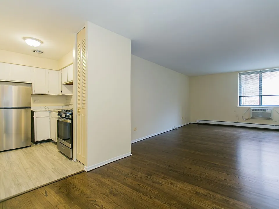 519 W Deming Pl #217