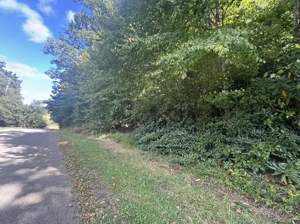 Foggy Ridge Ln, Fancy Gap, VA 24328