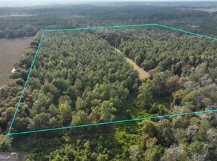 0 Mj Taylor Rd, Hahira, GA 31632