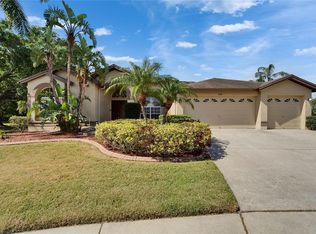 10110 Vista Pointe Dr, Tampa, FL 33635