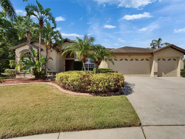 10110 Vista Pointe Dr, Tampa, FL 33635