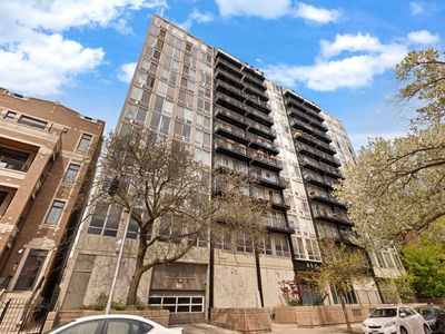 450 W Briar Pl APT 8J, Chicago, IL, 60657
