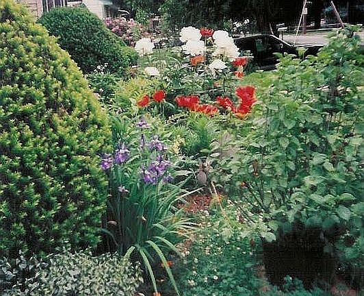 Some of the landscaping in summer