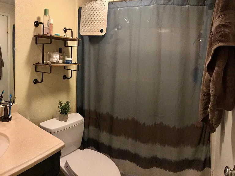 Downstairs bathroom