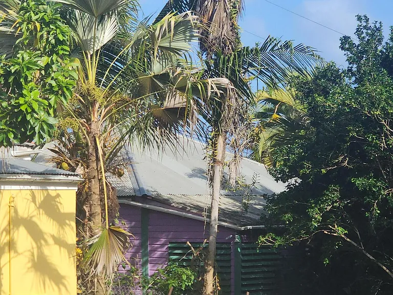 32 Queen St — Photo 13