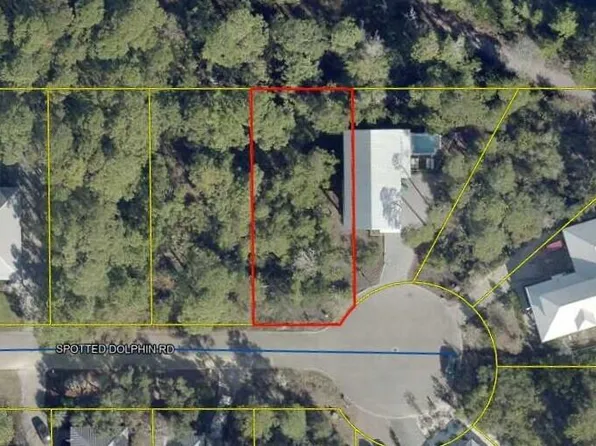 25 Spotted Dolphin Dr, Santa Rosa Beach, FL 32459